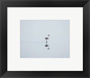 Framed Art Flamingo Solo Framed Art for your Home Wall Decor 18x24 Artwork