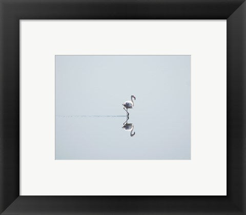 Framed Art Flamingo Solo Framed Art for your Home Wall Decor 18x24 Artwork