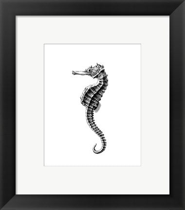 Framed Art Seahorse Wall Decor 18x24 Artwork