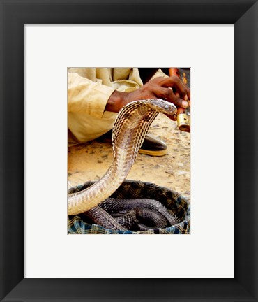 Framed Art Snake in a Basket Wall Decor 18x24 Artwork