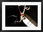 Bass Beets by Delaney Flanders