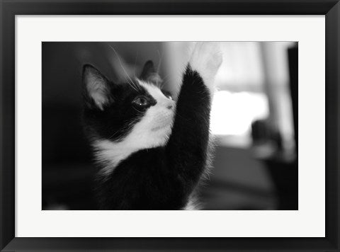 Framed Art Reach by Delaney Flanders Wall Decor 18x24 Artwork