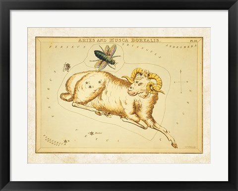 Framed Art Aires and Musca Borealis Constellation Wall Decor 18x24 Artwork