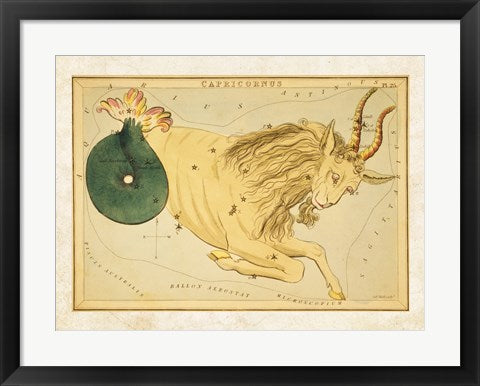 Framed Art Capricornus Zodiac Sign Framed Art for your Home Wall Decor 18x24 Artwork
