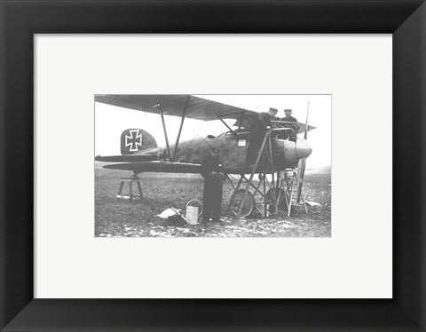Framed Art Albatos D.III Framed Art for your Home Wall Decor 18x24 Artwork