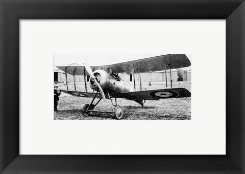 Framed Art Gloster Nightjar Wall Decor 18x24 Artwork