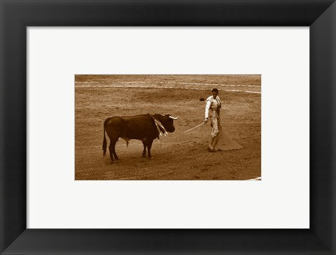Framed Art Matador and Bull Wall Decor 18x24 Artwork