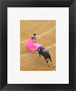 Matador Bullfight