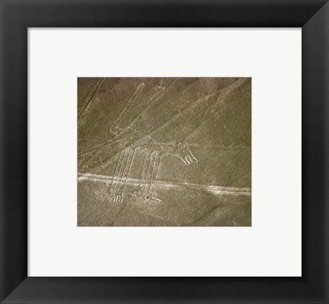 Framed Art Nazca Lines Dog Wall Decor 18x24 Artwork