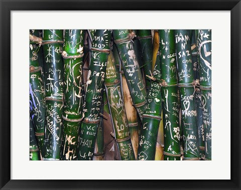 Bamboo Graffiti