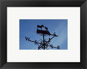 Donkey Lovers Weathervane