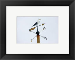 Seagull Weathervane