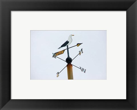 Framed Art Seagull Weathervane Wall Decor 18x24 Artwork