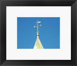 Weathervane, Newcastle