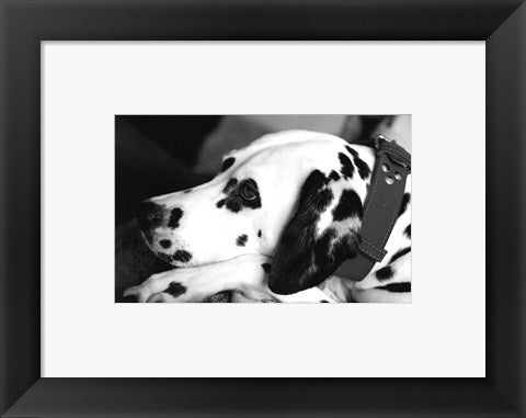 Framed Art Dog Tired Framed Art for your Home Wall Decor 18x24 Artwork