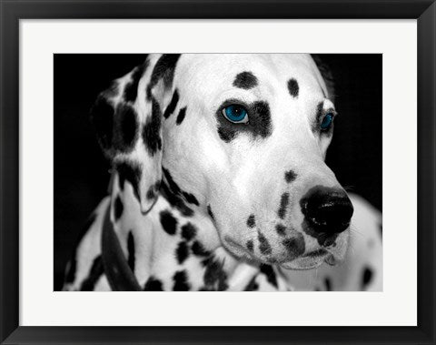 Framed Art Old Blue Eyes Wall Decor 18x24 Artwork