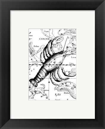 Framed Art Cancer Hevelius Framed Art for your Home Wall Decor 18x24 Artwork