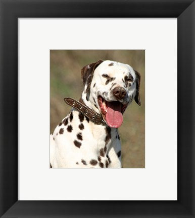 Framed Art Dalmatian Portrait Framed Art for your Home Wall Decor 18x24 Artwork