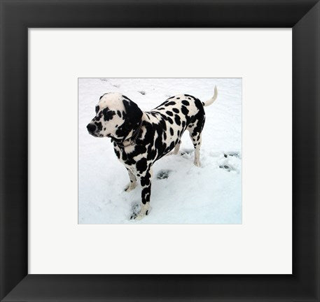 Framed Art Dalmatian in Snow Framed Art for your Home Wall Decor 18x24 Artwork