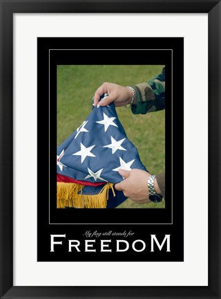 Framed Art Freedom Affirmation Poster, USAF Wall Decor 18x24 Artwork
