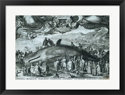 Framed Art Beached wale near Beverwijk Wall Decor 18x24 Artwork
