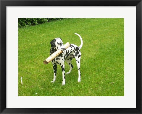 Framed Art Natsha Wall Decor 18x24 Artwork