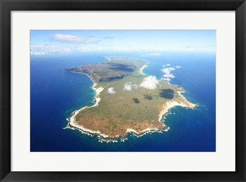 Framed Art Niihau Wall Decor 18x24 Artwork