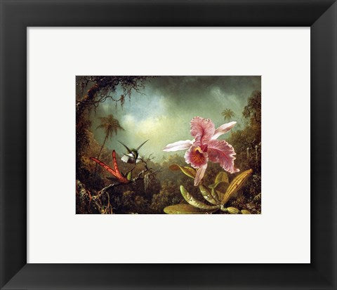Framed Art Orchid with Two Hummingbirds 1871 Wall Decor 18x24 Artwork