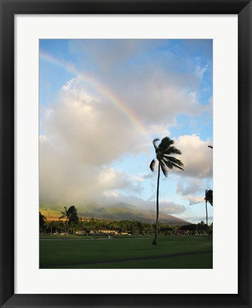 Framed Art Rainbow in Hawaii Wall Decor 18x24 Artwork