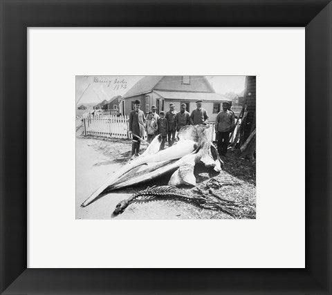 Framed Art Sperm Whale Head Wall Decor 18x24 Artwork