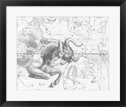 Taurus by Johannes Hevelius