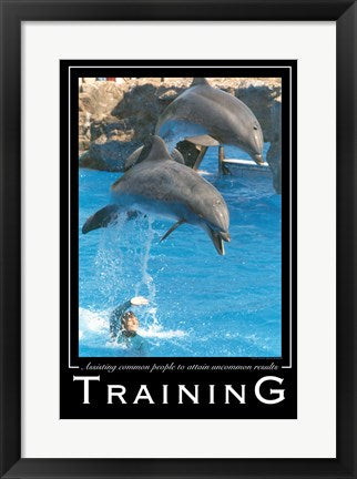 Framed Art Training Affirmation Poster, USAF Wall Decor 18x24 Artwork