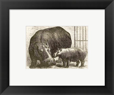 Framed Art Adhela and Guy Fawkes 1873 Wall Decor 18x24 Artwork