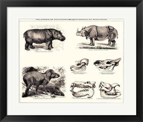Framed Art Frame Art Brockhaus and Efron Encyclopedic Dictionary Wall Decor 18x24 Artwork