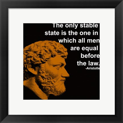 Framed Art Aristotle Quote Framed Art for your Home Wall Decor 18x24 Artwork