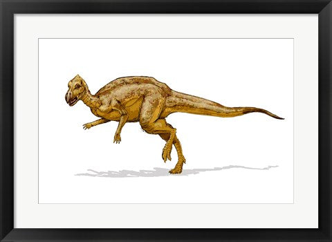 Framed Art Zalmoxes Wall Decor 18x24 Artwork