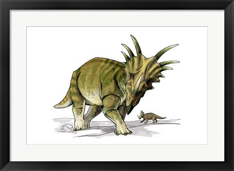 Framed Art Styracosaurus Wall Decor 18x24 Artwork