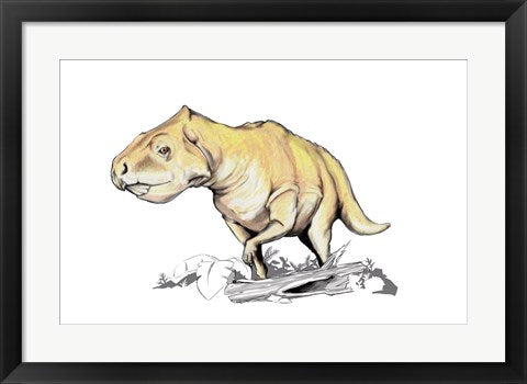 Framed Art Prenoceratops Wall Decor 18x24 Artwork