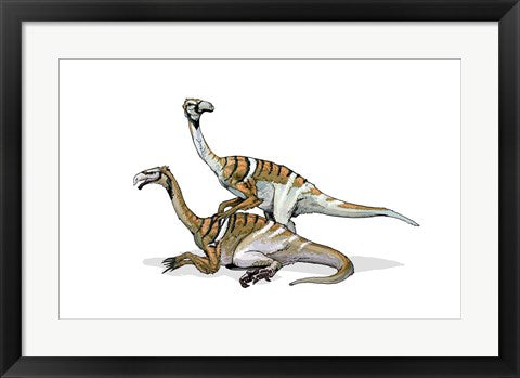 Framed Art Nanshiungosaurus Wall Decor 18x24 Artwork