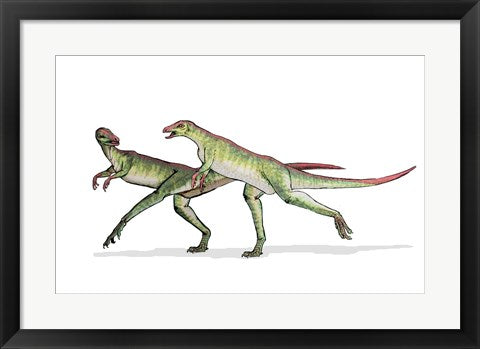 Framed Art Lesothosaurus Wall Decor 18x24 Artwork