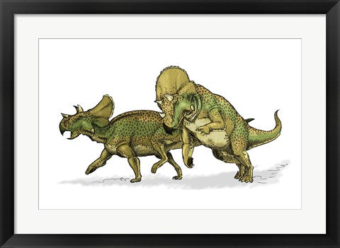 Framed Art Avaceratops Framed Art for your Home Wall Decor 18x24 Artwork