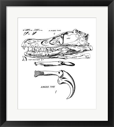 Framed Art Velociraptor Skull Chart Wall Decor 18x24 Artwork