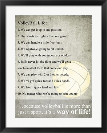 Framed Art Volleyball Life Wall Decor 18x24 Artwork