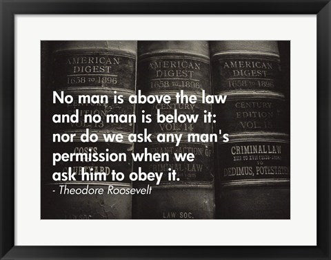 Framed Art No Man Is Above the Law Wall Decor 18x24 Artwork