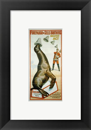 Framed Art Sea Lion Catching Hats Wall Decor 18x24 Artwork