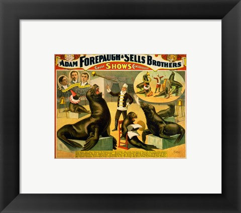 Framed Art Circus Seals Framed Art for your Home Wall Decor 18x24 Artwork