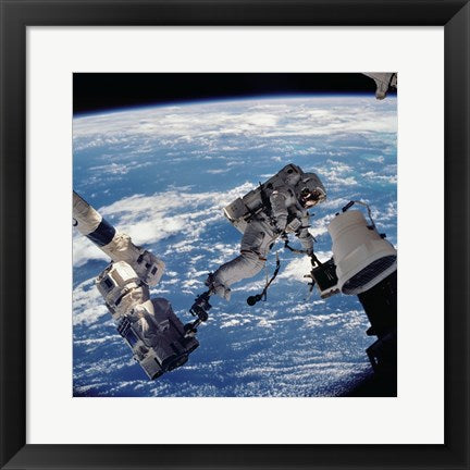 Framed Art David Wolf Anchored to SSRMS Wall Decor 18x24 Artwork