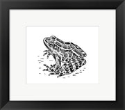 Framed Art Frog Framed Art for your Home Wall Decor 18x24 Artwork