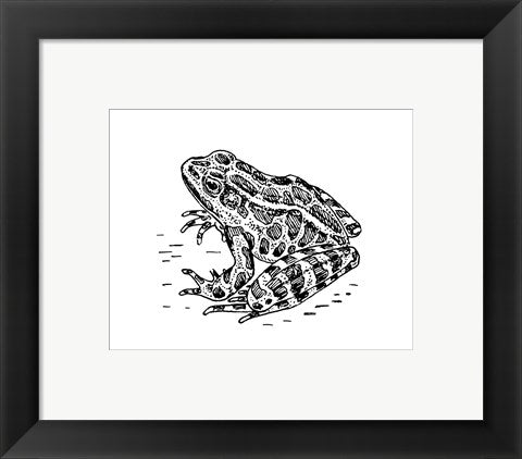 Framed Art Frog Framed Art for your Home Wall Decor 18x24 Artwork