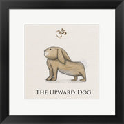 Bunny Yoga,  Upward Dog Pose